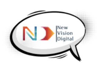 New Vision Delhi